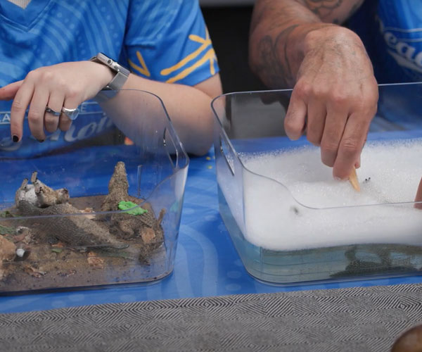 Kangaroo and Crocodile: Big Book